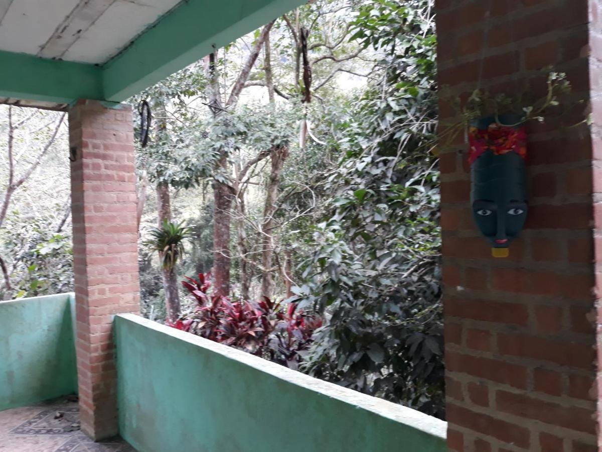 Live Hostel ปาราตี ภายนอก รูปภาพ
