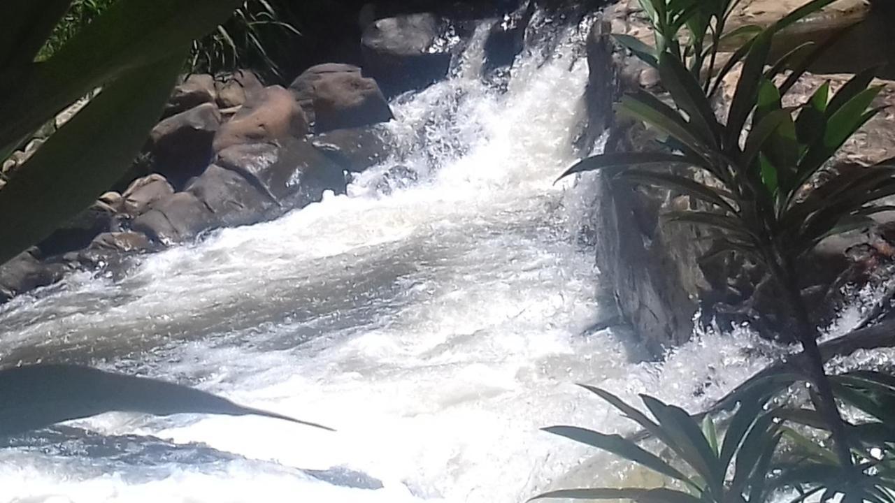 Live Hostel ปาราตี ภายนอก รูปภาพ